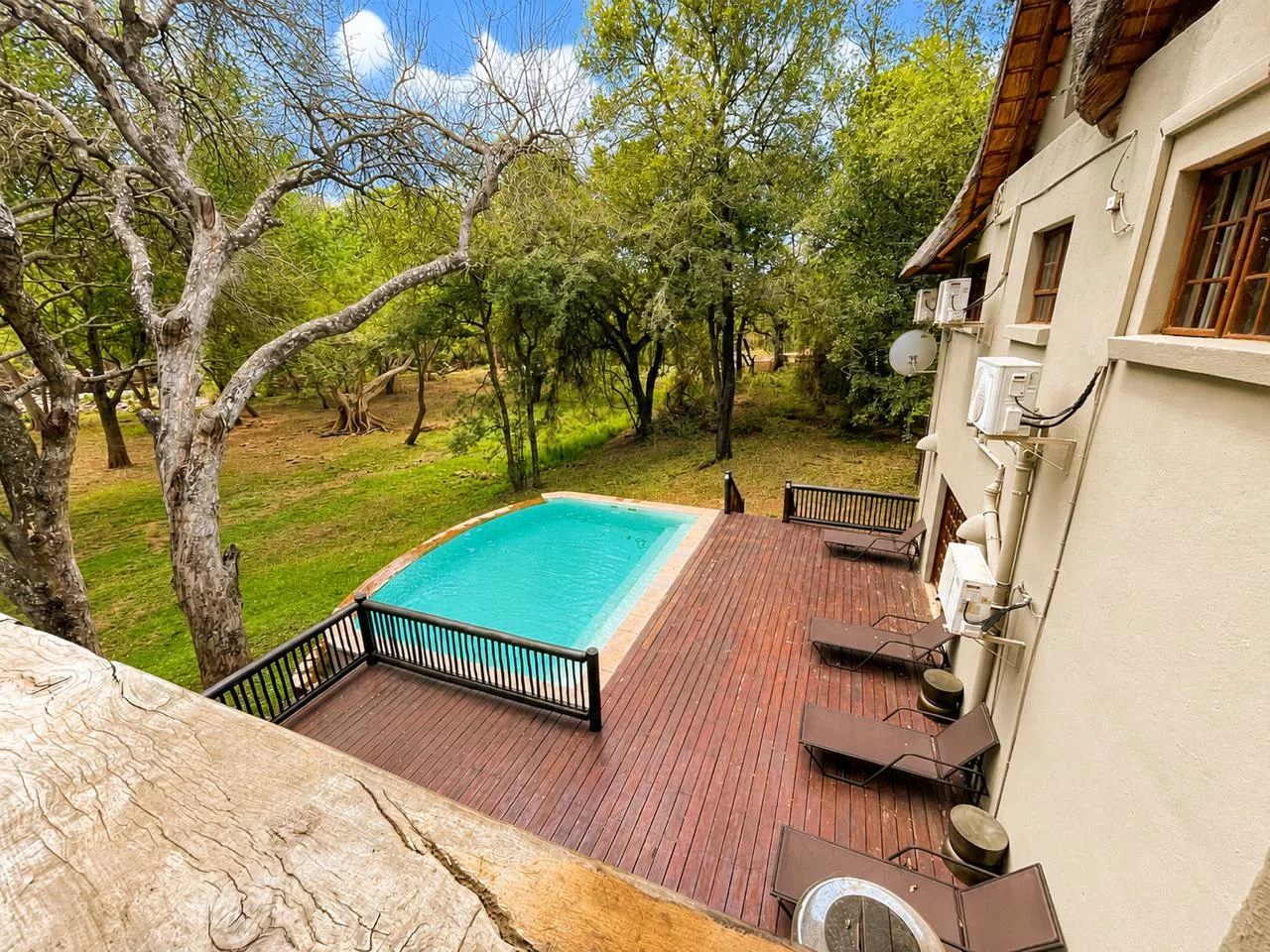 Pool and sun deck