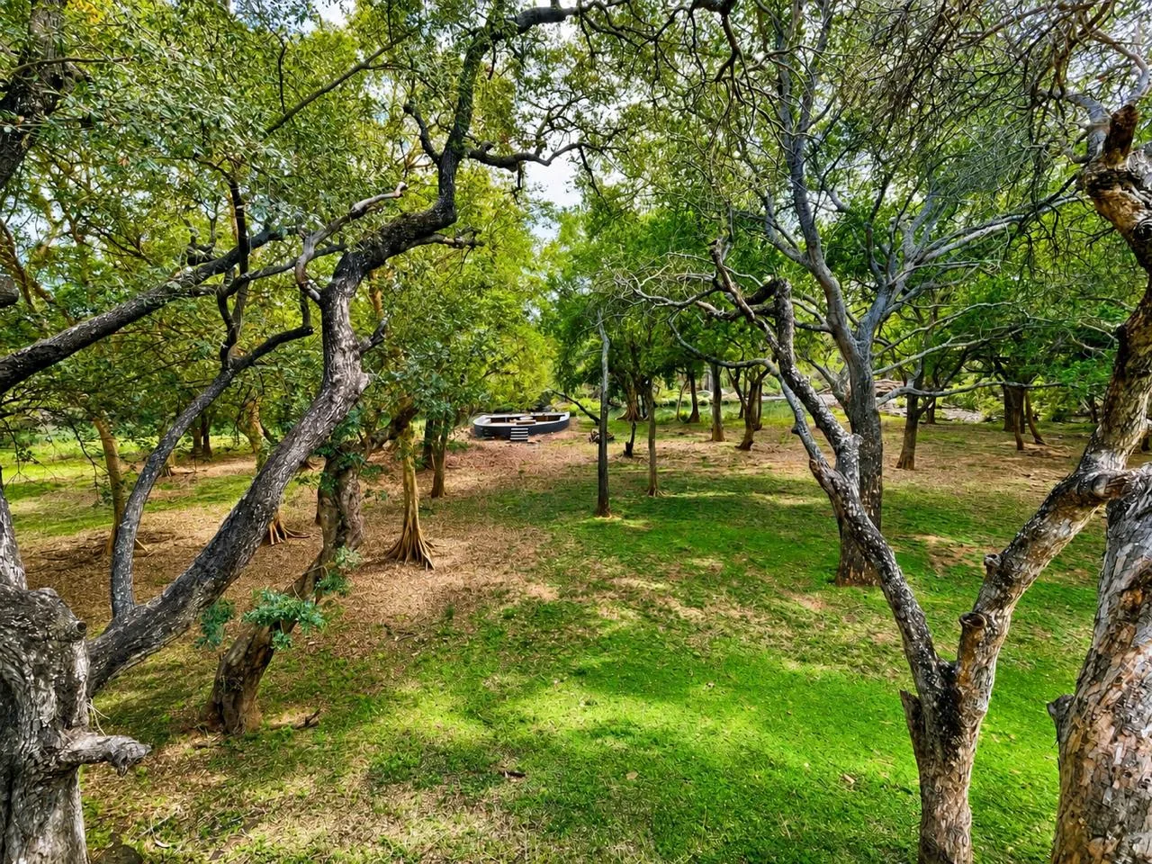 The grounds